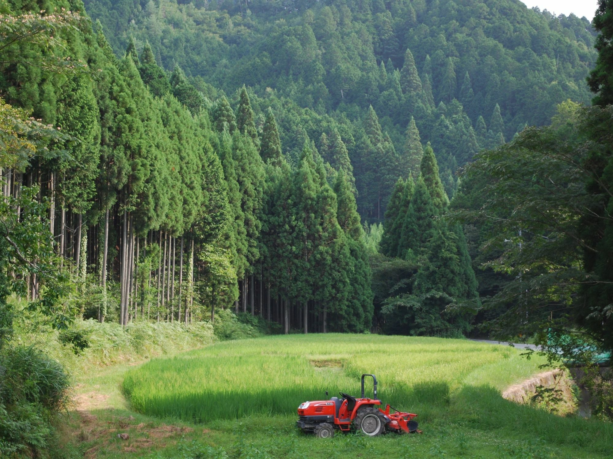 Goemon Kyoto Japan Villa ภายนอก รูปภาพ